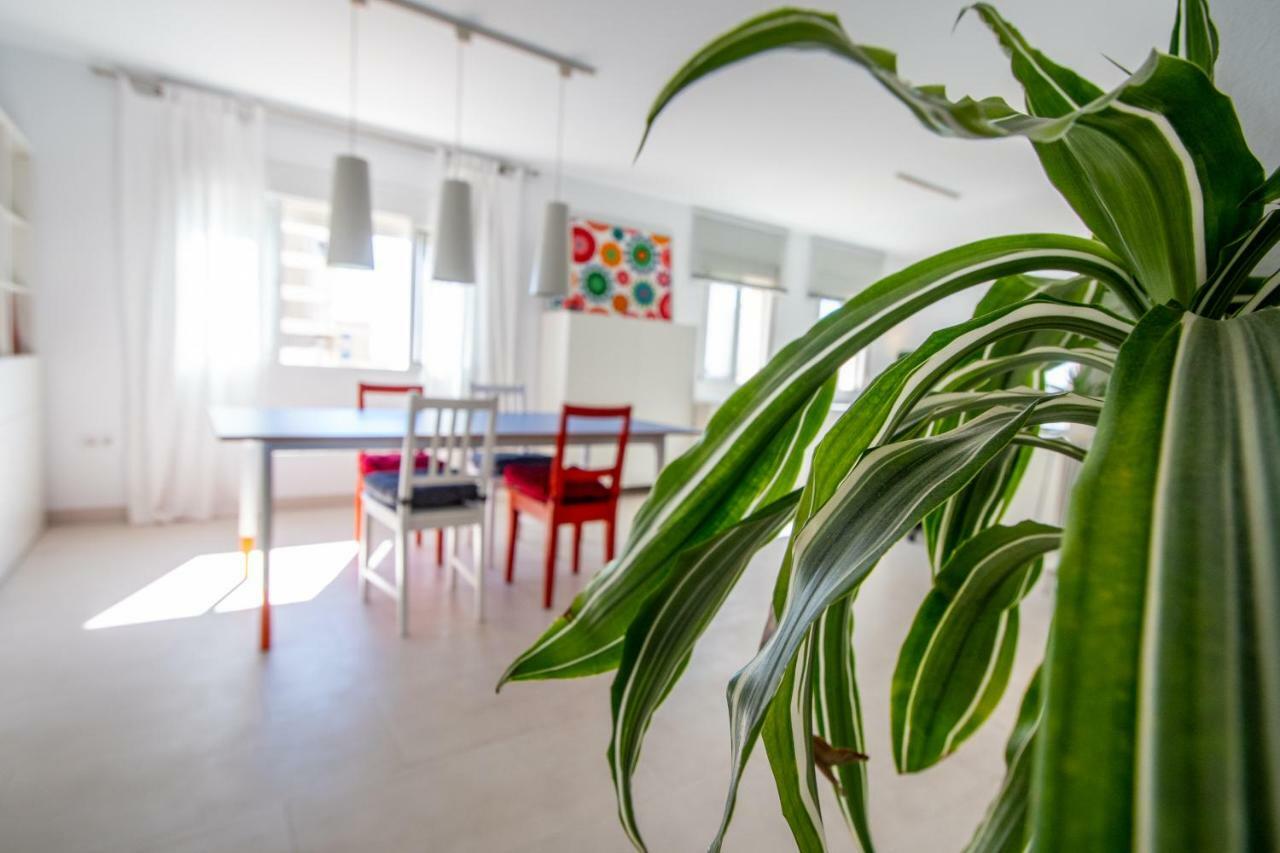 Apartamento El Rayo Verde 카디스 외부 사진